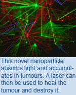 This novel nanoparticle absorbs light and accumulates in tumours. A laser can then be used to heat the tumour and destroy it.