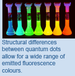 Structural differences between quantum dots allow for a wide range of emitted fluorescence colours.
