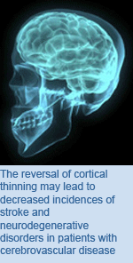 The reversal of cortical thinning may lead to decreased incidences of stroke and neurodegenerative disorders in patients with cerebrovascular disease