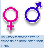 MS affects women two to three times more often than men.