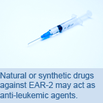 Natural or synthetic drugs against EAR-2 may act as anti-leukemic agents.