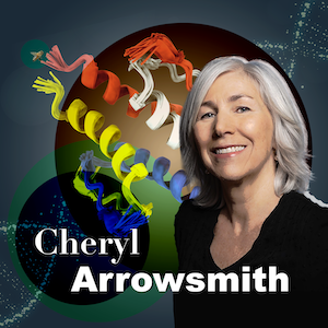 Meet Cheryl Arrowsmith Cover Graphic