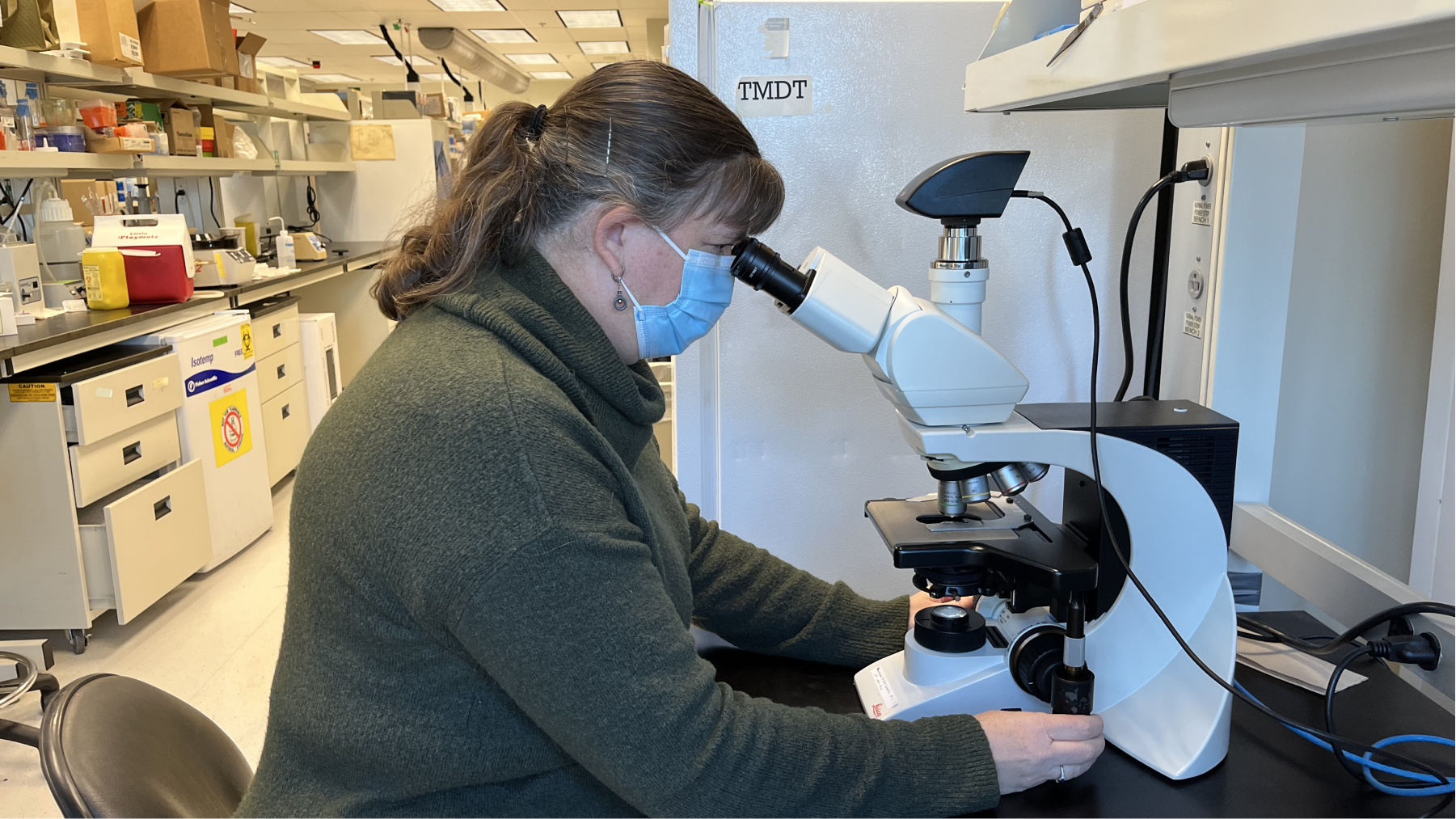 Photo of a woman looking through a microscope.