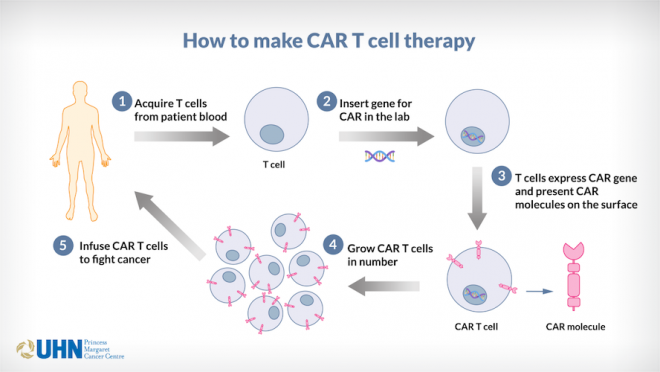 Illustration of how CAR T cell therapy works.