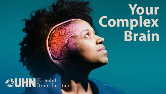 your complex brain logo