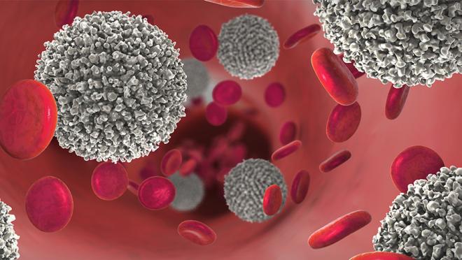 Graphic of red and white blood cells in a blood vessel