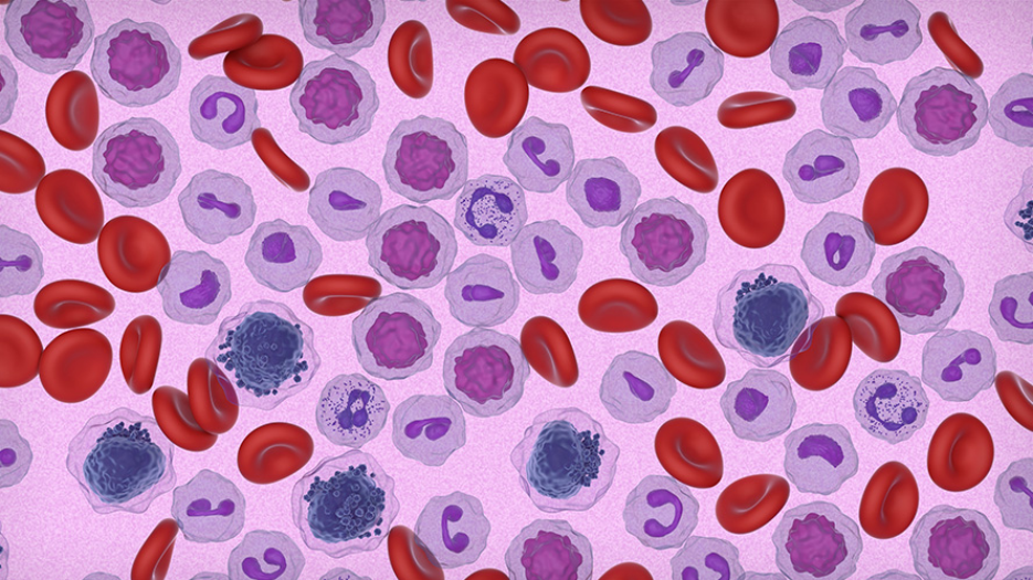 Illustration of different types of blood cells.