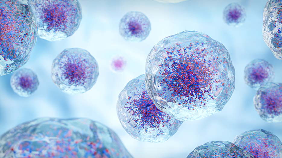 Illustration of blood cells floating in view