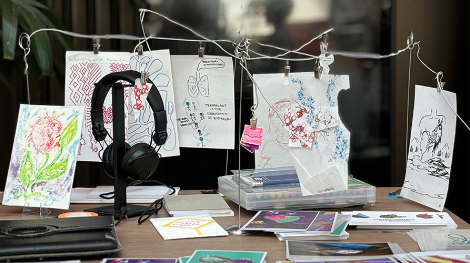 Photograph of artwork pinned on thin metal structure.