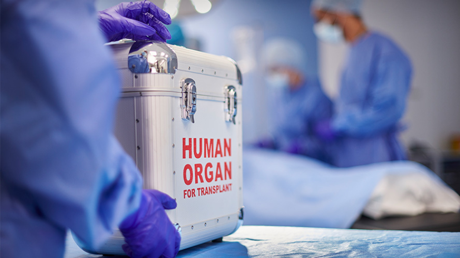 Image of medical professionals holding a cooler that says 'Human Organ' on the side.
