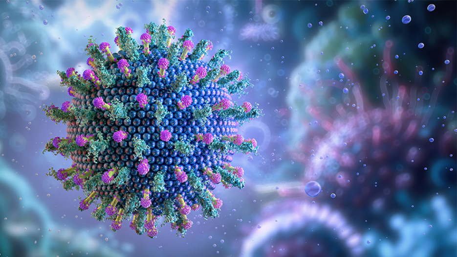 Illustration of a hepatitis virus