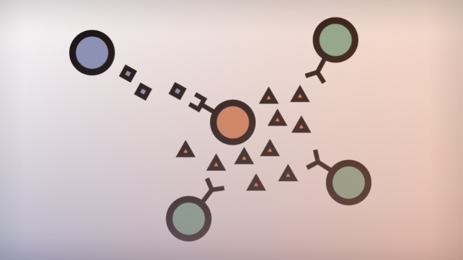 Illustration of cells communicating with each other