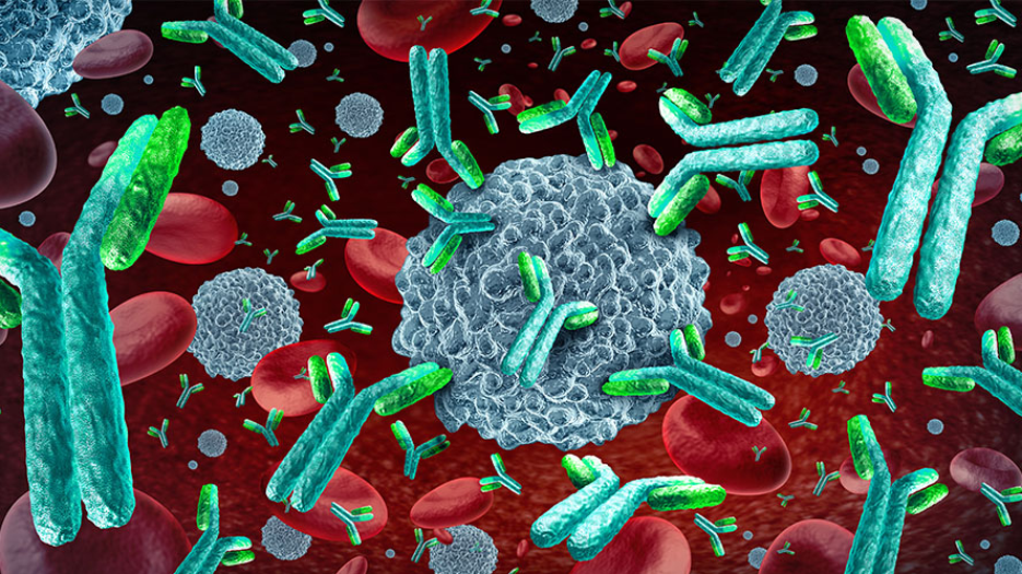 Illustration of antibodies and other immune cells attacking a tumour