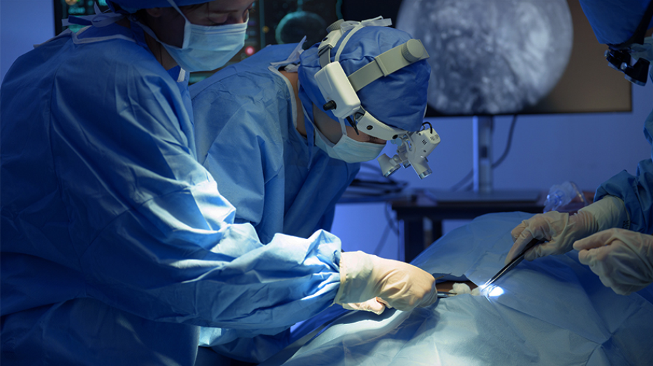 Three surgeons in surgical scrubs in a surgical room overlooking a patient that is covered with surgical drapes. A screen can be seen in the background depicting the image inside the patient's body.