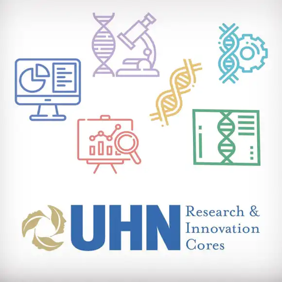 newsletter main image