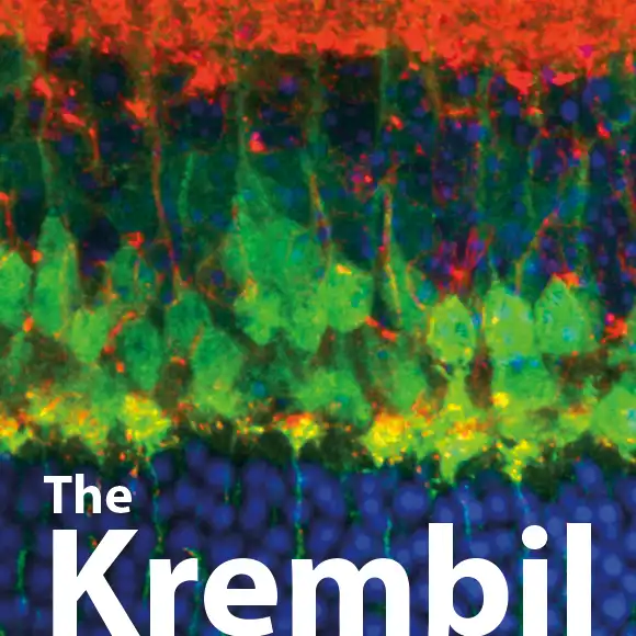 newsletter main image