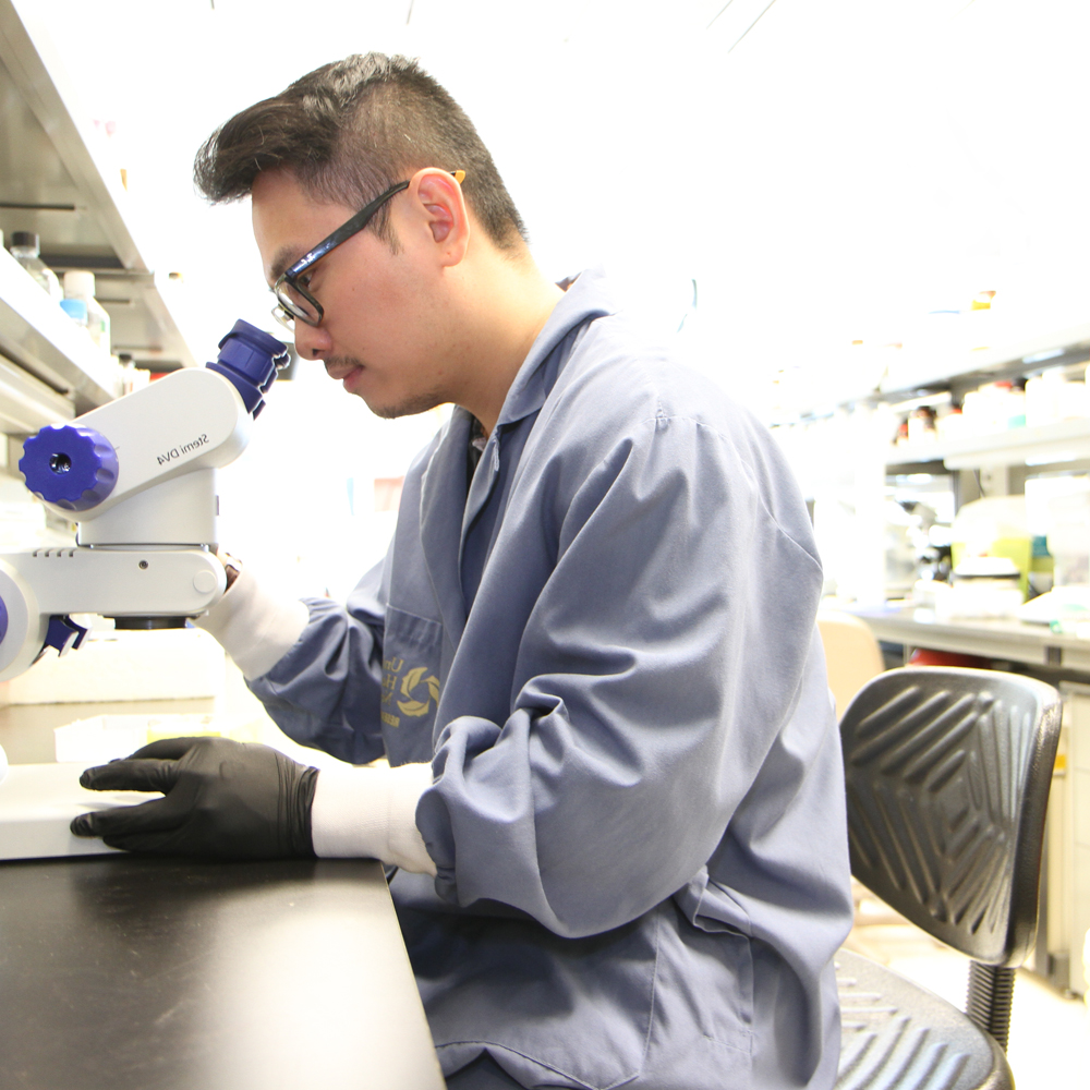 Researcher using a lab microscope
