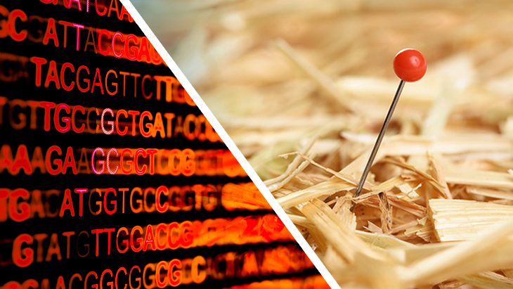 The human genomeour complete set of genetic instructionscontains more than three billion DNA base pairs, which give rise to tens of thousands of genes. Identifying disease-causing genetic variations is incredibly challenging, like finding a needle in a ha