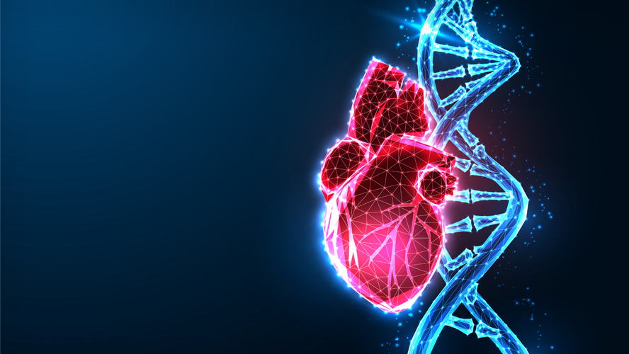 Graphic with heart and DNA.
