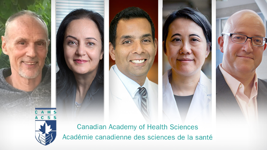 (L-R) Drs. Peter Backx, Mojgan Hodaie, Samir Sinha, Lillian Siu and Michael Tymianski are UHN's newly elected Fellows of the Canadian Academy of Health Sciences.