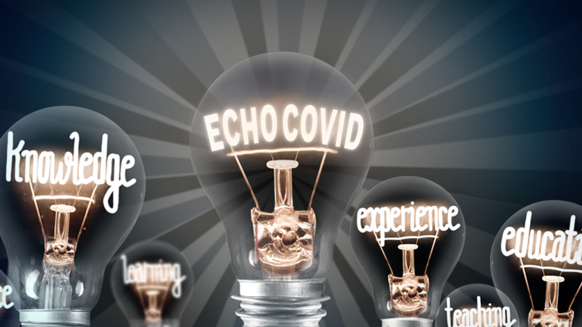 Project ECHO (Extension of Community Healthcare Outcomes) is a global initiative that enables health care workers to share professional expertise, skills and ideas using an online conferencing platform.