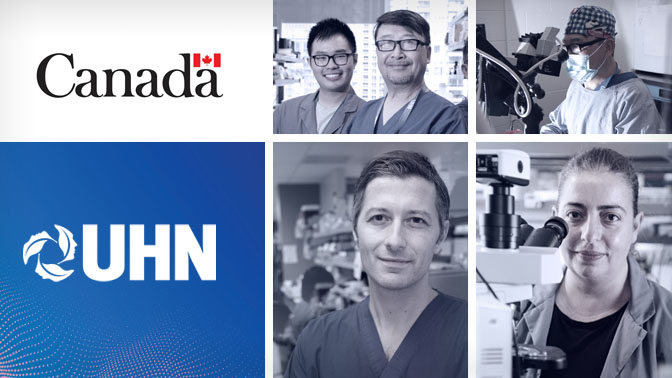 This is an image from this article.