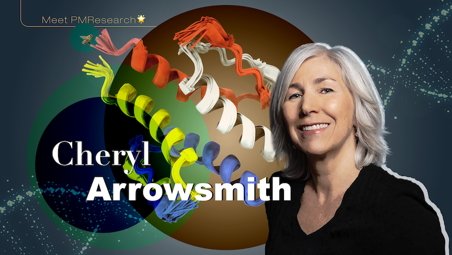 Dr. Cheryl Arrowsmith is a Senior Scientist at the Princess Margaret Cancer Centre, Chief Scientist of the Toronto node of the Structural Genomics Consortium, and a Professor at the Department of Medical Biophysics at the University of Toronto. Her resear