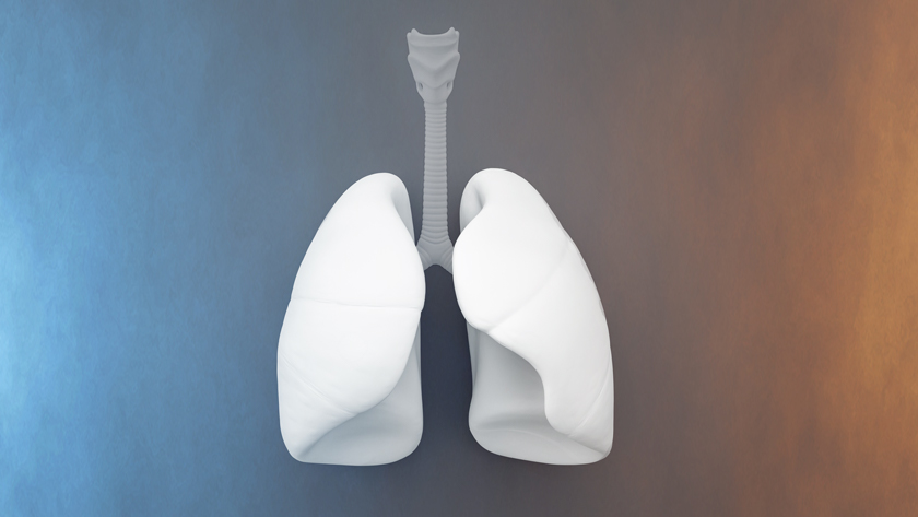 Current approaches for preserving donated lungs involve cold storage at 4C. New research explores the potential benefits of storing lungs at warmer temperatures.