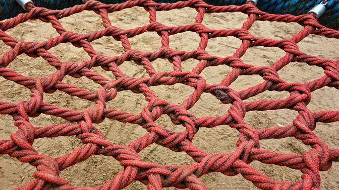 The extracellular matrix surrounds and supports cells, and in some cases can also serve as a barrier that prevents tumour cells from spreading or immune cells attacking a tumour.