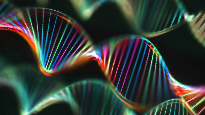 Short interspersed nuclear elements are ancient stretches of DNA with functions that are just beginning to be discovered. These elements make up around one tenth of the entire human genome.