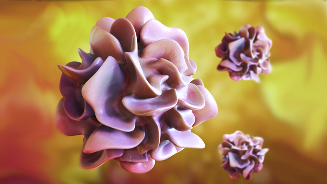 Dendritic cells (illustrated above) derive their name from dendron', the Greek word for tree, because of the distinctive branching projections on the cells' surface.