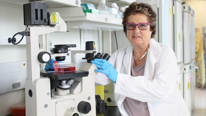 Dr. Eleanor Fish, Emerita Scientist at UHN and Professor at the University of Toronto, is the senior author of the study.