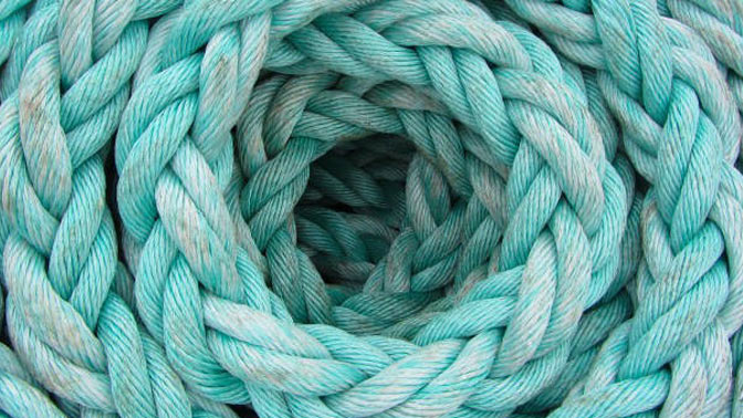 Circular RNAs have been implicated in a number of diseases, including cancer.