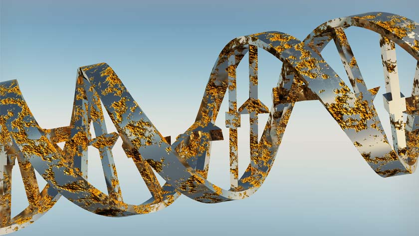KRAS mutations have long been associated with driving cancer development and progression. These mutations are present in 25% of all tumours and are commonly found in lung, colorectal and pancreatic cancers.