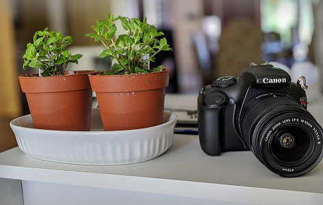 Photographs offer a powerful way to tap into the deeper consciousness of participants' lived experiences.