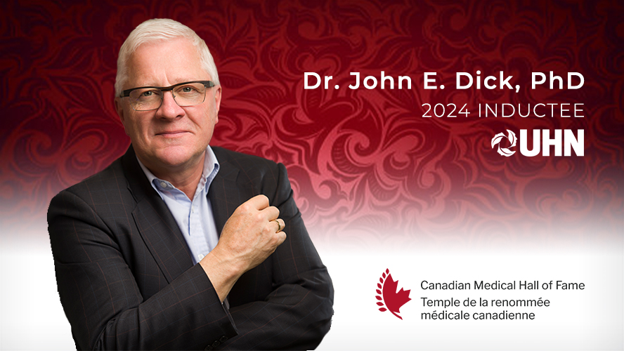 This is an image from this article.