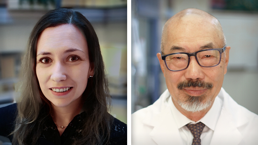 (L-R) Dr. Julie Leca, postdoctoral researcher and co-corresponding author of the study; and Dr. Tak Mak, a Senior Scientist at the Princess Margaret Cancer Centre.