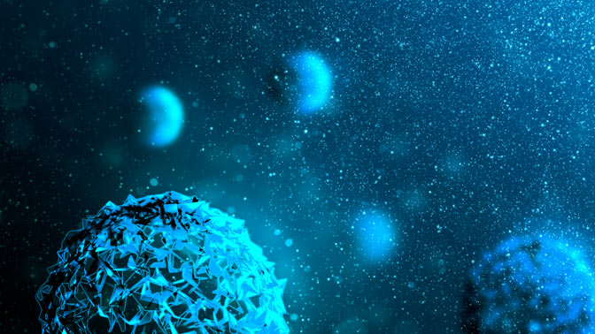 AML is a blood cancer that affects white blood cells known as myeloid cells. The cancer cells accumulate in the bone marrow, where they interfere with normal blood cell production.