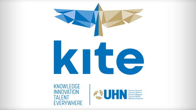 The KITE logo is a stylized bird in flight, symbolizing the Institute's ability to nurture ideas that can soar to new heights.