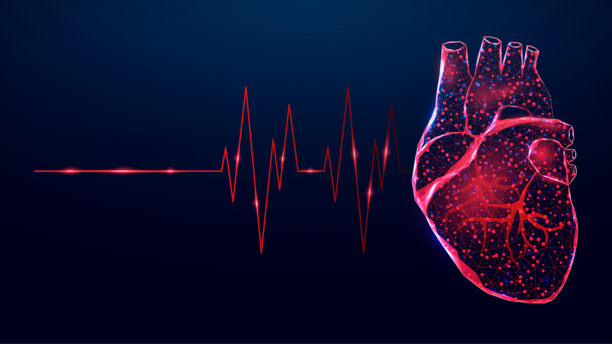 Graphic of the human heart with an ECG pulse in the background.