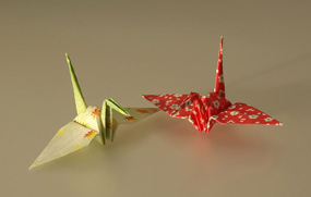 How DNA is folded influences gene expressiona process akin to the art of origami where different folding gives rise to different objects.