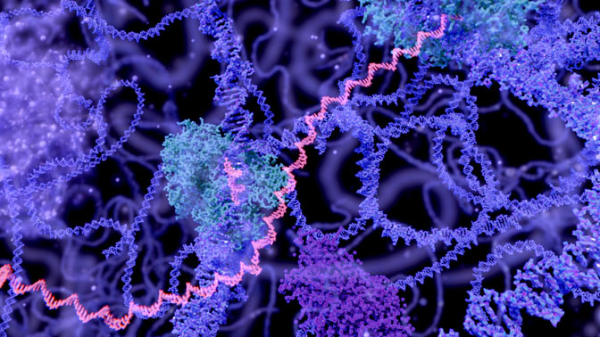 Although epigenetic changes do not alter the linear sequence of the genetic code, they modify DNA in other ways and can influence how the cell's machinery reads the code (depicted above).