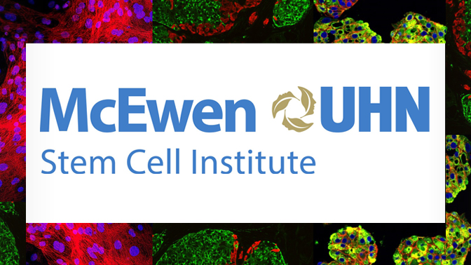 This is an image from this article.