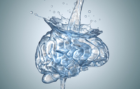 This is an image from this article.