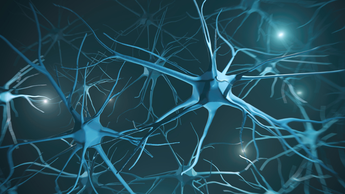 A neuron, which is the basic working unit of the brain, uses electrical pulses to communicate information to other neurons in its network.