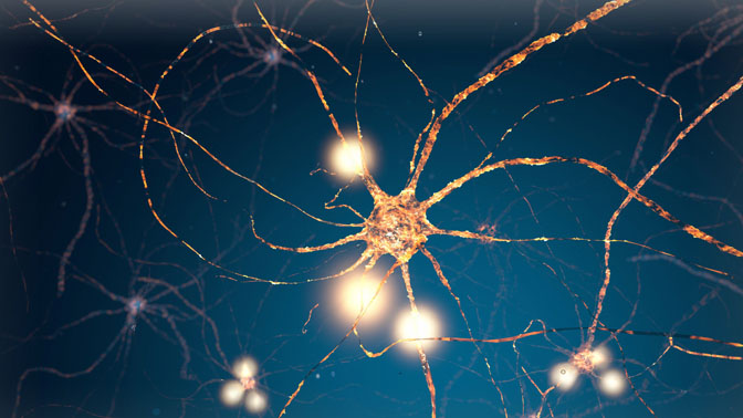 Neurons are specialized cells in the nervous system that have long extensions, known as axons that transmit electrical signals to other cells. When axons are damaged, cells cannot communicate properly with each other.