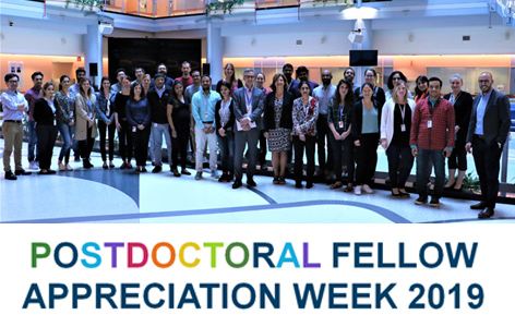 UHN Postdoctoral Fellows attending a PDF Appreciation Week Social and Networking Lunch with special guest Dr. Brad Wouters, EVP Science and Research.