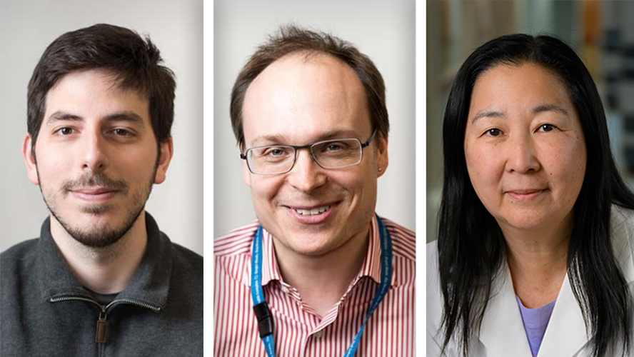 (L-R) Dr. Michael St. Paul, a Post-Doctoral researcher at Princess Margaret Hospital; Dr. Sam Saibil, Staff Oncologist at the Princess Margaret Cancer Centre; and Dr. Pamela Ohashi, Senior Scientist at Princess Margaret Cancer Centre.  