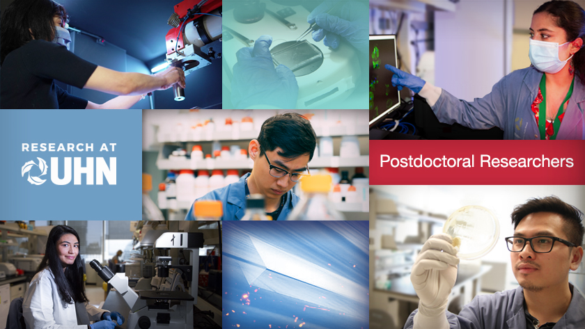 This is an image from this article.