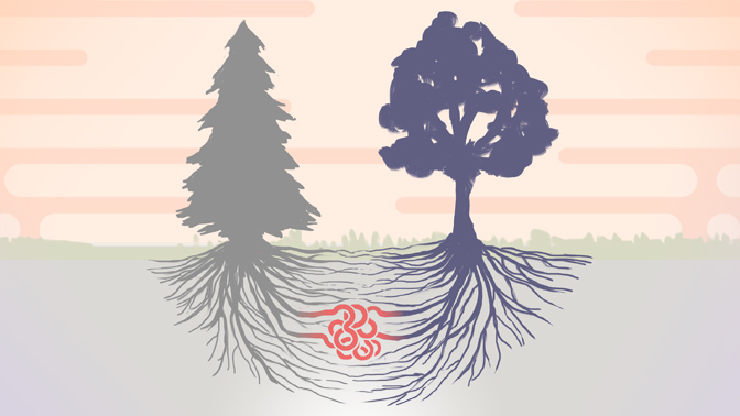 This is an image from this article.